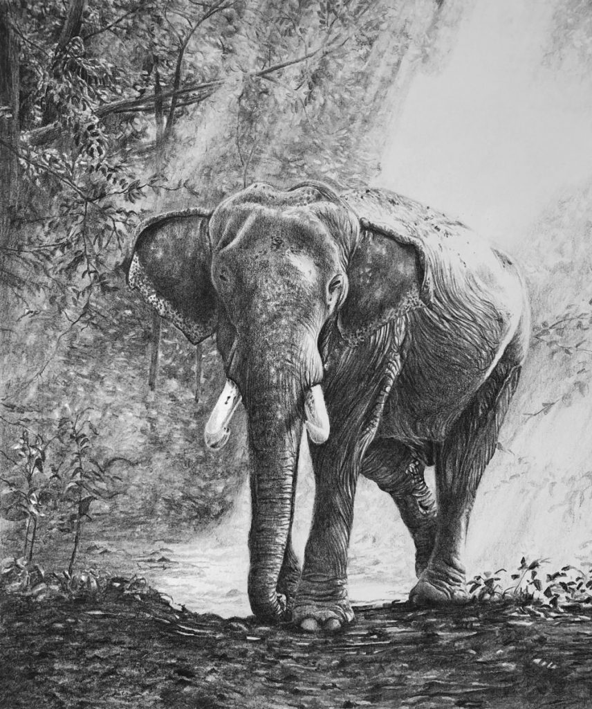 "Walking in Light" Graphite on Stonehenge Paper. 10.5" by 14"