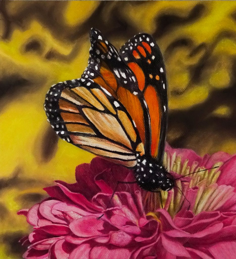 "Orange Butterfly" Pastel 15" by 16"