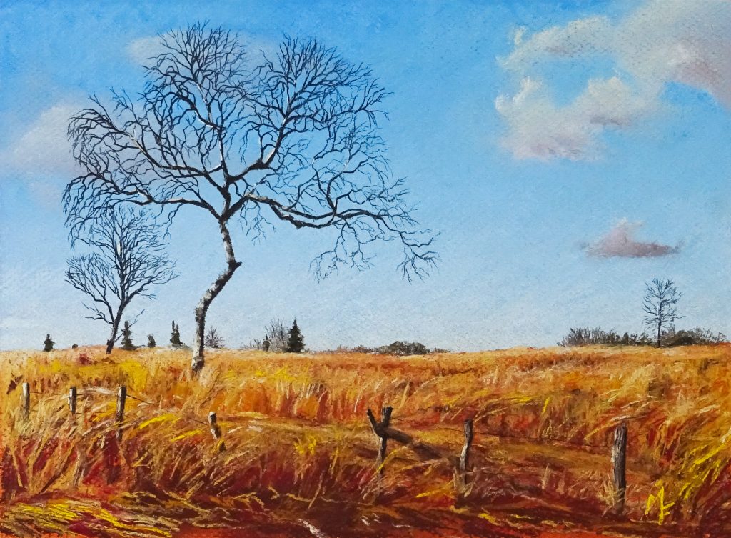 "Lonely Trees" Pastel. 10" by 8"
