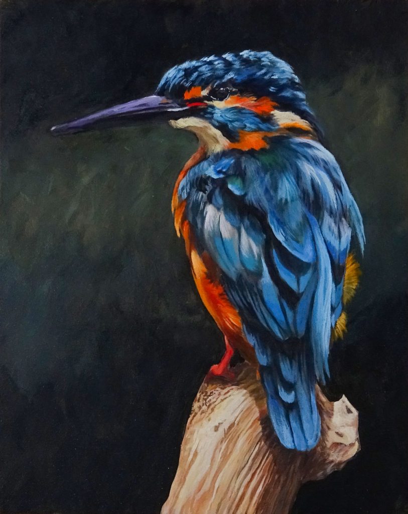 "Kingfisher" Acrylics on Panel. 8" by 10"