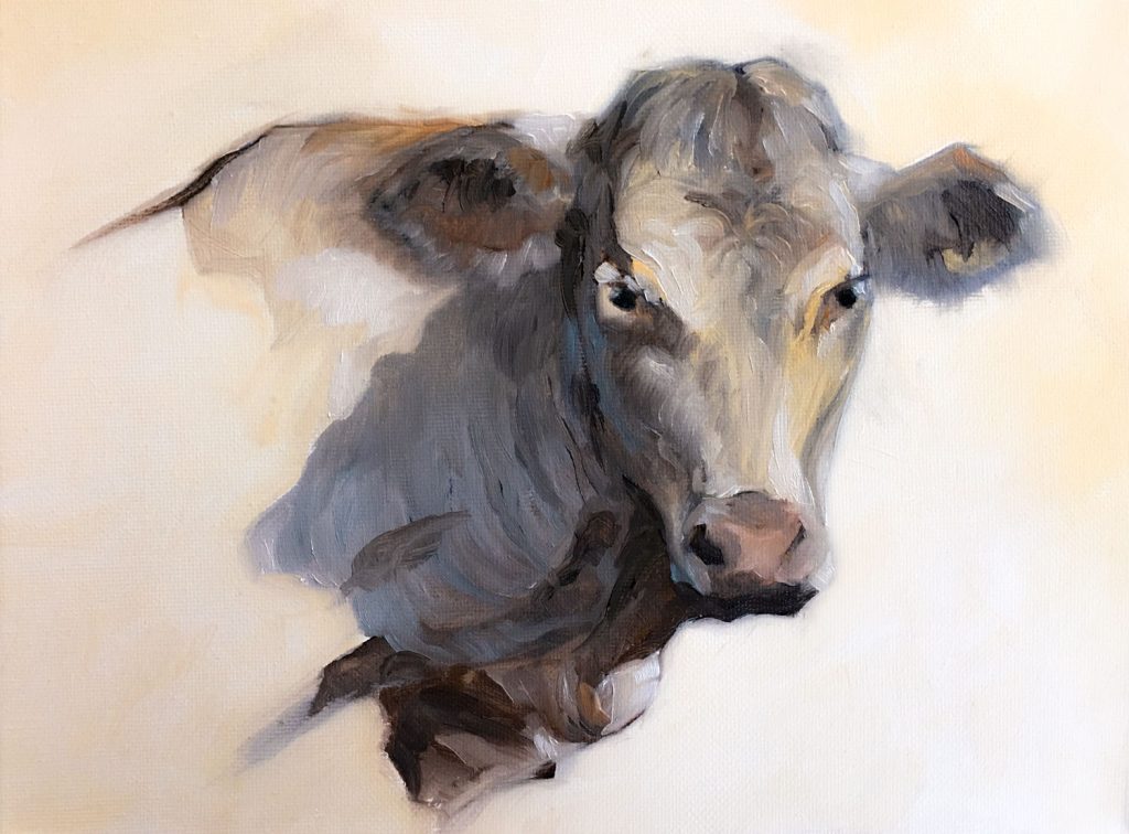 "Yellow Cow" Oil on Canvas. 10" by 8"
