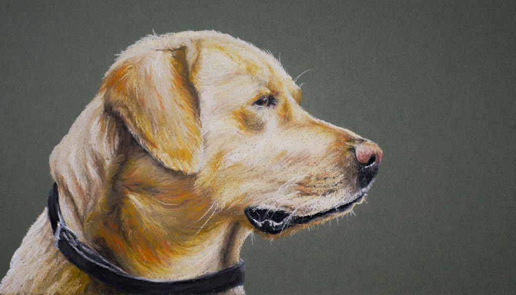 "Golden" Pastel. 16" by 10"