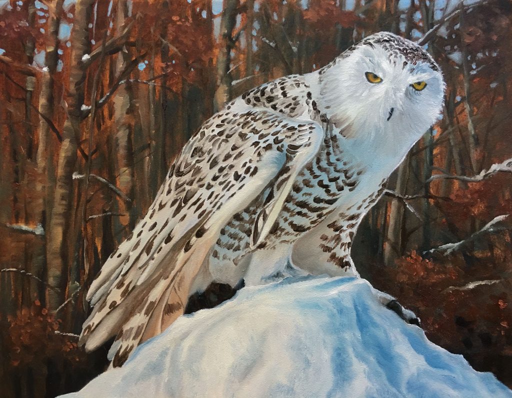 "Snow Perch" Oil on Panel. 10" by 8"